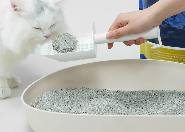 아메리칸솔루션 그랜드마스터 프리미엄 12.6kg